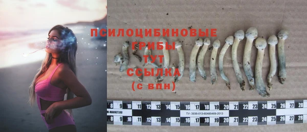 спиды Магас