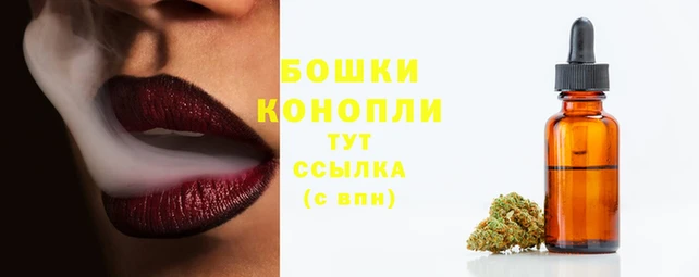 спиды Магас