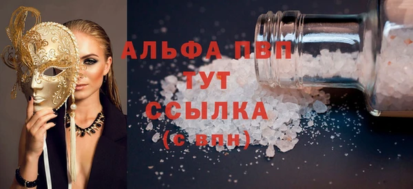 спиды Магас