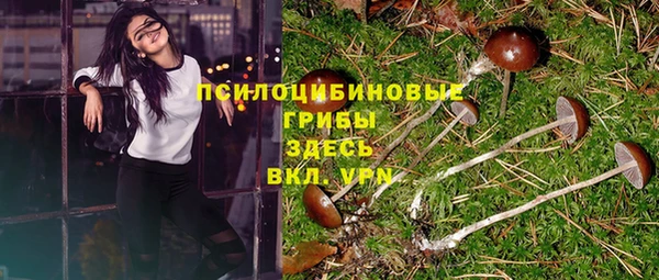 мет Медвежьегорск