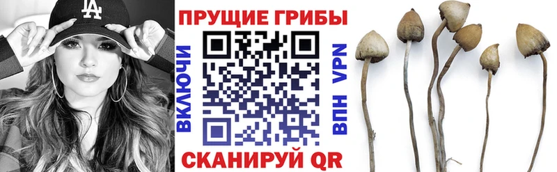 Купить где  Апшеронск  Галлюциногенные грибы прущие грибы 